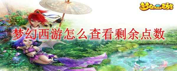 �λ����������鿴ʣ�����