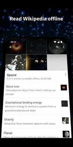 维基百科中文版截图1