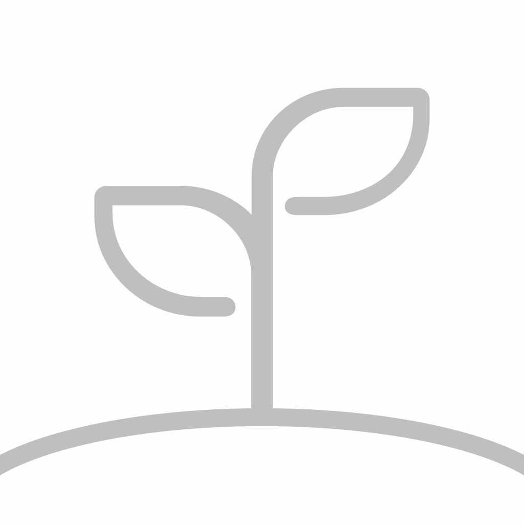 �ɳ�֮����׿�ֻ���