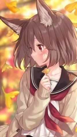 ��ѡ������ͼ4