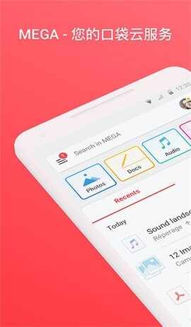 MEGA��Ѱ��ͼ1