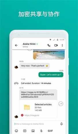 MEGA��Ѱ��ͼ4