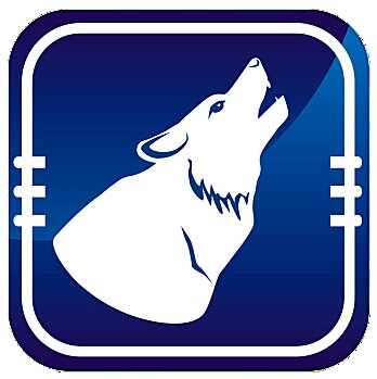 ����Ӱ�ӵ��Ӱ�