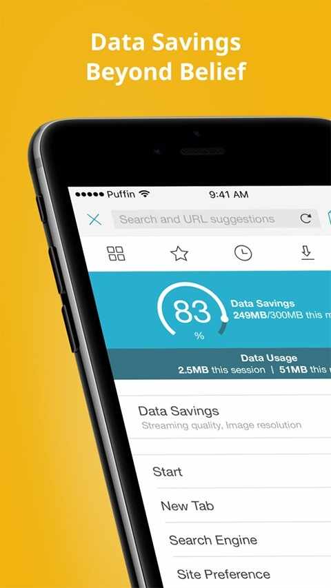 Puffin Web Browser��ͼ2