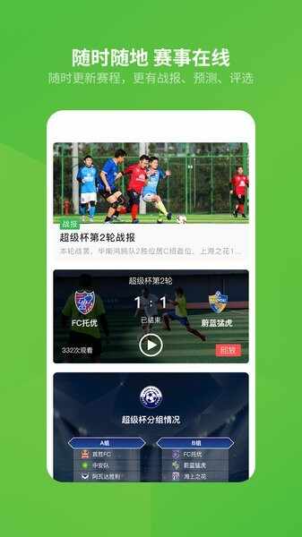 绿茵场截图1
