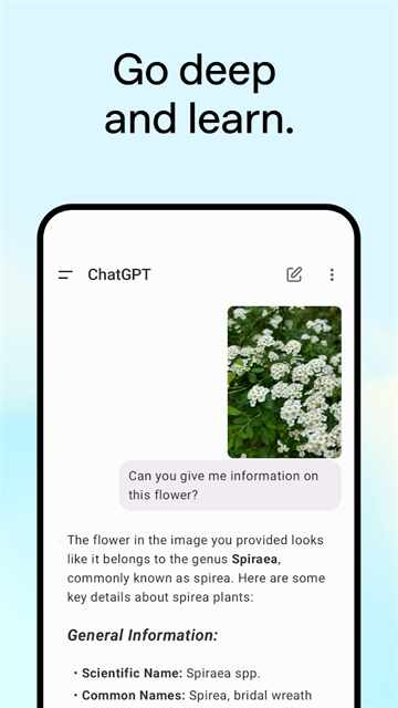 image2��ͼ2
