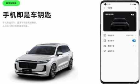 iccoacarlink手机端app截图2