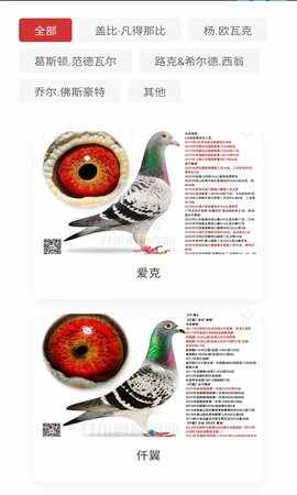 邢小信app截图3