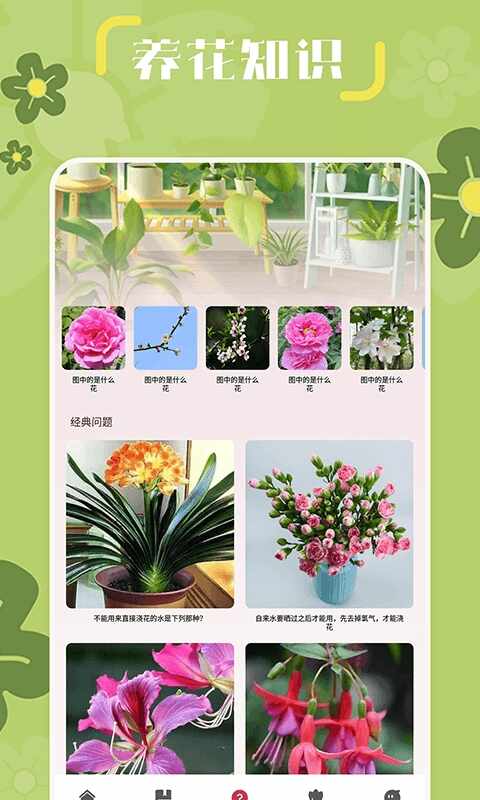 小兰君截图2