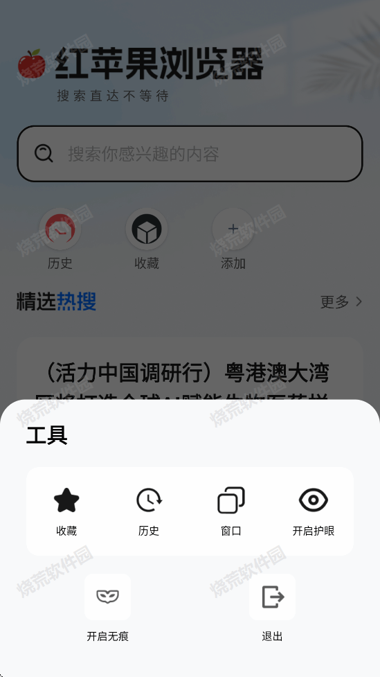 红苹果浏览器截图5