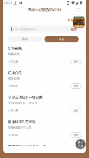 Dinkum控制台代码大全截图4