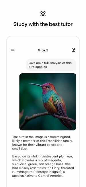grok4.1官方最新版截图2